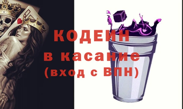 сатива Архангельск