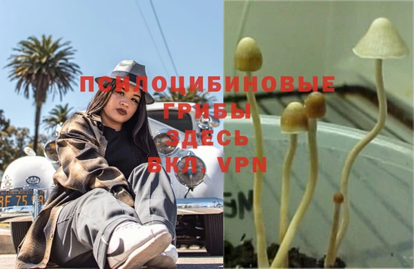 гашик Липки