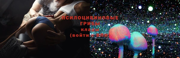 гашик Липки